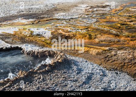 Tolle farbenfrohe Pools im Upper Geyser Basin des Yellowstone NP, USA Stockfoto