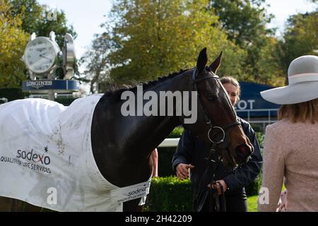 Ascot, Bergen, Großbritannien. 30. Oktober 2021. Gewinner des Bateaux London Handicap Hurdle Race. Quelle: Maureen McLean/Alamy Stockfoto