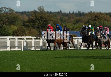 Ascot, Bergen, Großbritannien. 30. Oktober 2021. Jockeys reiten in der Byrne Group Handicap Steeple Chase. Quelle: Maureen McLean/Alamy Stockfoto