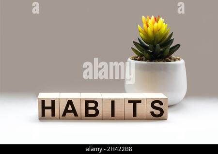 Das Wort Gewohnheiten auf einem Holzblock und einem weißen Hintergrund geschrieben, neben einer Kaktusblume Stockfoto