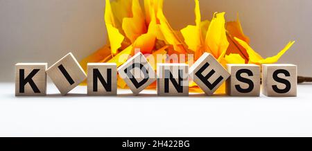 Das Wort Freundlichkeit aus Holzblöcken auf einem Tisch und einem weißen Hintergrund, eingerahmt von Laub. Ort zum Schreiben. Stockfoto