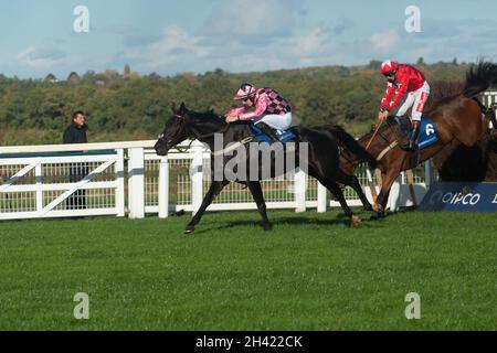 Ascot, Bergen, Großbritannien. 30. Oktober 2021. Jockey Ciaran Gethings auf dem Pferd Monsieur Lecoq macht einen Sprung in der Handicap Steeple Chase der Byrne Group (Klasse 1) (Listed Race) (GBB Race). Quelle: Maureen McLean/Alamy Stockfoto