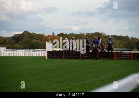 Ascot, Bergen, Großbritannien. 30. Oktober 2021. Jockeys beim Stella Artois Novices' Hurdle Race (Klasse 3) (GBB Race). Quelle: Maureen McLean/Alamy Stockfoto