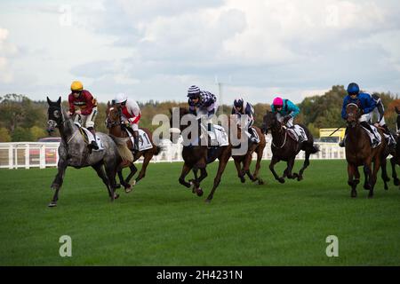 Ascot, Bergen, Großbritannien. 30. Oktober 2021. Jockeys beim Stella Artois Novices' Hurdle Race (Klasse 3) (GBB Race). Quelle: Maureen McLean/Alamy Stockfoto