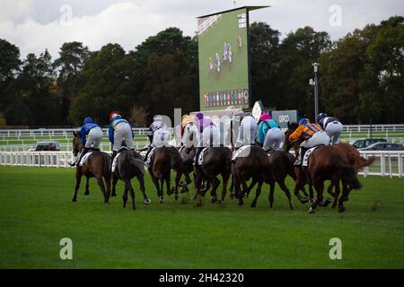 Ascot, Bergen, Großbritannien. 30. Oktober 2021. Jockeys beim Stella Artois Novices' Hurdle Race (Klasse 3) (GBB Race). Quelle: Maureen McLean/Alamy Stockfoto