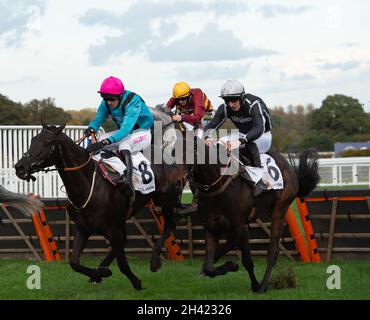 Ascot, Bergen, Großbritannien. 30. Oktober 2021. Jockey Paddy Brennan (rosa Mütze) Reitpferd Peking Rose und Jockey Ciaran Gethings (schwarze Seide) Reitpferd Mexiko im Stella Artois Novices' Hurdle Race (Klasse 3) (GBB Race). Quelle: Maureen McLean/Alamy Stockfoto