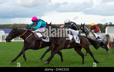 Ascot, Bergen, Großbritannien. 30. Oktober 2021. Jockey Paddy Brennan (rosa Mütze) Reitpferd Peking Rose und Jockey Ciaran Gethings (schwarze Seide) Reitpferd Mexiko im Stella Artois Novices' Hurdle Race (Klasse 3) (GBB Race). Quelle: Maureen McLean/Alamy Stockfoto