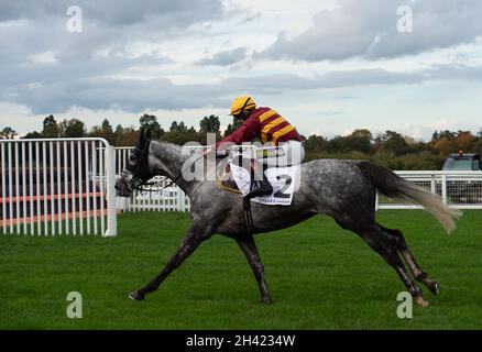 Ascot, Bergen, Großbritannien. 30. Oktober 2021. Jockey Sam Twiston-Davies reitet auf dem Super Six im Stella Artois Novices' Hurdle Race (Klasse 3) (GBB Race). Quelle: Maureen McLean/Alamy Stockfoto