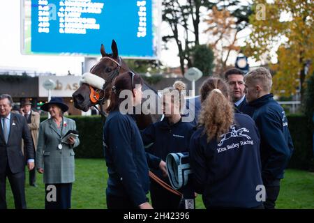 Ascot, Bergen, Großbritannien. 30. Oktober 2021. Das Kim Bailey Racing Team aus Cheltenham mit dem Pferd Chianti Classico. Quelle: Maureen McLean/Alamy Stockfoto