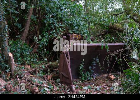 September 2021 - der vordere Eimer eines alten verlassenen Raupenbaggers im Wald Stockfoto