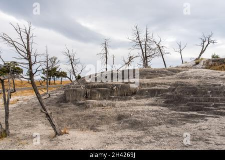 Malerische, leblose Kalziumterrassen in Mammoth Hot Springs, Yellowstone National Park, USA Stockfoto