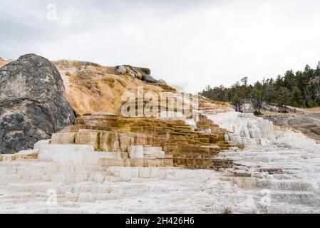 Malerische, leblose Kalziumterrassen in Mammoth Hot Springs, Yellowstone National Park, USA Stockfoto