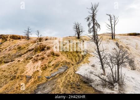 Malerische, leblose Kalziumterrassen in Mammoth Hot Springs, Yellowstone National Park, USA Stockfoto