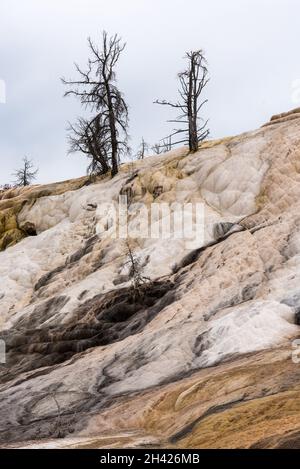 Malerische, leblose Kalziumterrassen in Mammoth Hot Springs, Yellowstone National Park, USA Stockfoto