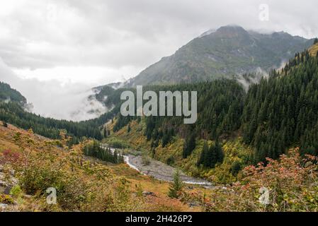 Herrliche Berglandschaft rund um den Mount Rainier National Park, USA Stockfoto