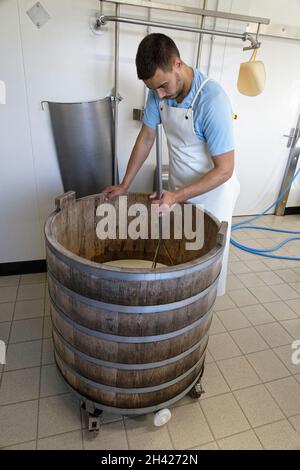 St Etienne-du-Monteil, Frankreich. 27th Jul, 2021.Produktion von Salers Tradition Käse mit Milch von Salers züchten Kühe auf dem Galvaing Hof. Stockfoto