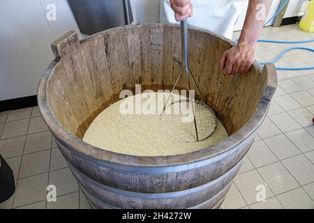 St Etienne-du-Monteil, Frankreich. 27th Jul, 2021.Produktion von Salers Tradition Käse mit Milch von Salers züchten Kühe auf dem Galvaing Hof. Stockfoto