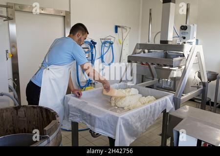 St Etienne-du-Monteil, Frankreich. 27th Jul, 2021.Produktion von Salers Tradition Käse mit Milch von Salers züchten Kühe auf dem Galvaing Hof. Stockfoto