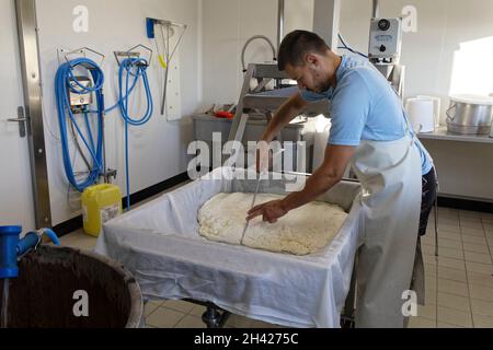 St Etienne-du-Monteil, Frankreich. 27th Jul, 2021.Produktion von Salers Tradition Käse mit Milch von Salers züchten Kühe auf dem Galvaing Hof. Stockfoto