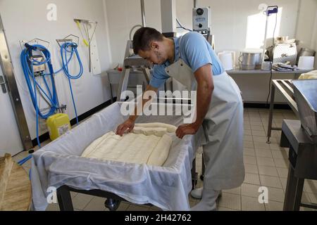 St Etienne-du-Monteil, Frankreich. 27th Jul, 2021.Produktion von Salers Tradition Käse mit Milch von Salers züchten Kühe auf dem Galvaing Hof. Stockfoto