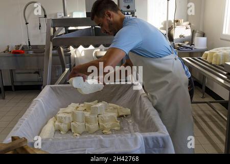 St Etienne-du-Monteil, Frankreich. 27th Jul, 2021.Produktion von Salers Tradition Käse mit Milch von Salers züchten Kühe auf dem Galvaing Hof. Stockfoto