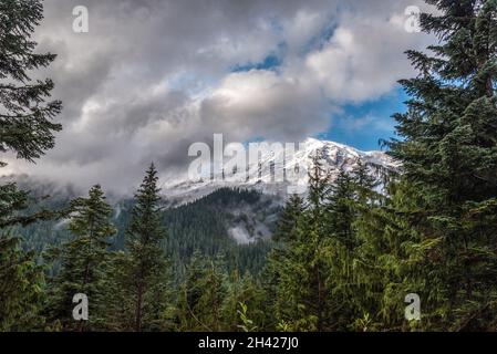 Der Mt Rainier, der sich hinter Wolken versteckt, vom Nisqually River aus gesehen, USA Stockfoto