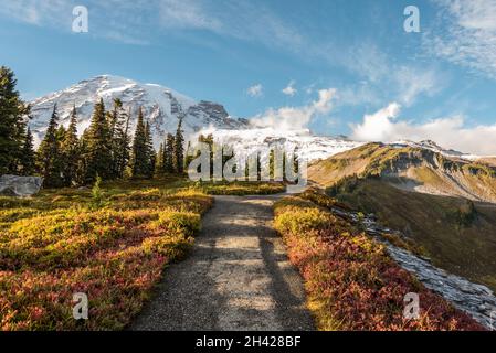 Blick auf den herrlichen Mount Rainier vom Paradise Vista Trail, USA Stockfoto