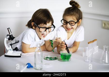 Zwei niedliche Kinder am Chemieunterricht machen Experimente isoliert auf weißem Hintergrund Stockfoto