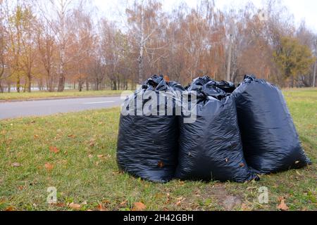 Schwarze Plastiktüten voller Herbstblätter. Große schwarze Plastikmüllsäcke mit heruntergefallenen getrockneten Blättern stehen auf dem Gras. Saisonale Reinigung der Stadt Stockfoto