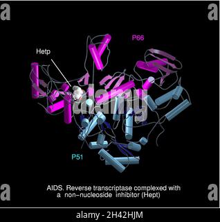 AIDS, Reverse Transkriptase/Hept-Komplex Stockfoto