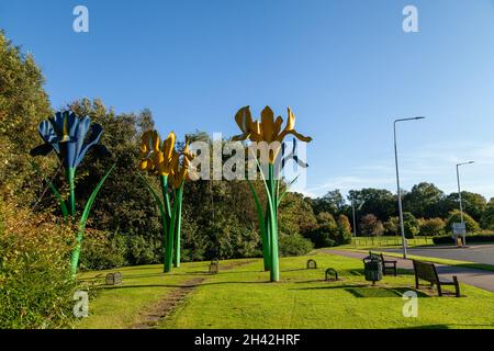 Giant Iris Flowers Skulptur von Malcolm Robertson in der Nähe eines Kreisel in Glenrothes, Fife, Schottland Stockfoto