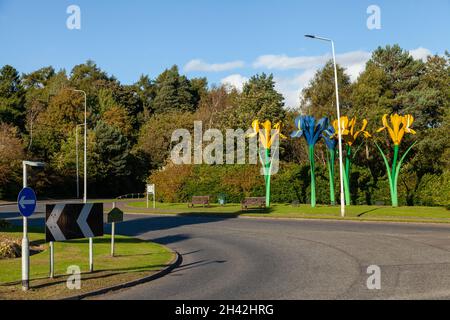 Giant Iris Flowers Skulptur von Malcolm Robertson in der Nähe eines Kreisel in Glenrothes, Fife, Schottland Stockfoto