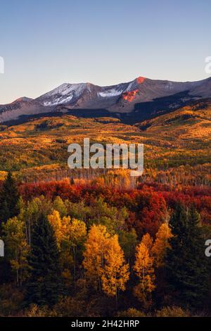 Herbstlandschaft mit Aspen-Bäumen und Herbstfarben am Kebler Pass in der Nähe von Crested Butte, Colorado Stockfoto