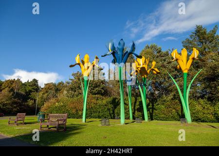 Giant Iris Flowers Skulptur von Malcolm Robertson in der Nähe eines Kreisel in Glenrothes, Fife, Schottland Stockfoto