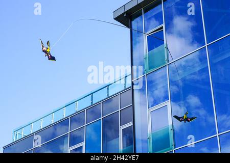 Ein adlerförmiger, erschrekender Drache, der an einem Seil hängt, schützt das Töten von Vögeln bei einem Zusammenstoß mit der Glasfassade Stockfoto