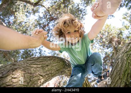 Vater hilft dem Sohn, auf den Baum zu klettern. Fathers Hand. Kinderschutz. Gesunder Lebensstil der Eltern. Stockfoto