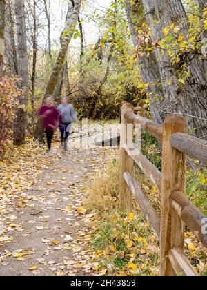 Bunte Bäume mit Joggern, die auf einem Trail laufen Stockfoto