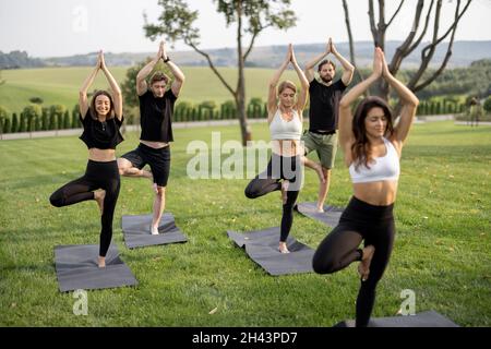 Menschen üben Yoga auf Fitnessmatten auf Rasen Stockfoto