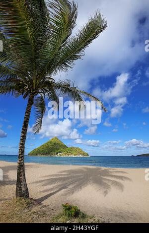 Levera Beach auf der Insel Grenada mit Blick auf die Insel Sugar Loaf, Grenada. Stockfoto