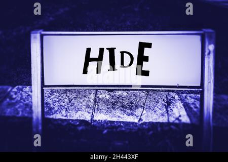 Verstecken Sie sich auf einem Straßenschild in einem neonblauen Ton Stockfoto