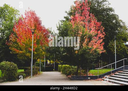 Pfad durch einen öffentlichen Park während des saisonalen Wechsels im Herbst Stockfoto