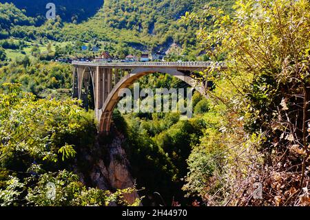 Brücke über die Schlucht des Flusses Tara, Montenegro Stockfoto