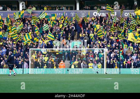 Norwich, Großbritannien. Oktober 2021. Norwich-Fans beim Premier League-Spiel zwischen Norwich City und Leeds United in der Carrow Road am 31. Oktober 2021 in Norwich, England. (Foto von Mick Kearns/phcimages.com) Credit: PHC Images/Alamy Live News Stockfoto