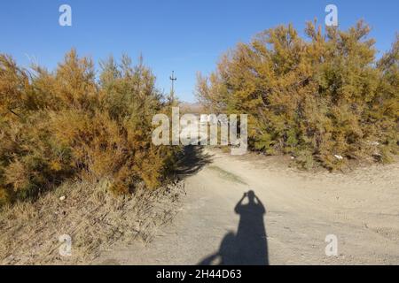 Rund um Alkali Flat Hot Spring im Zentrum von Nevada Stockfoto