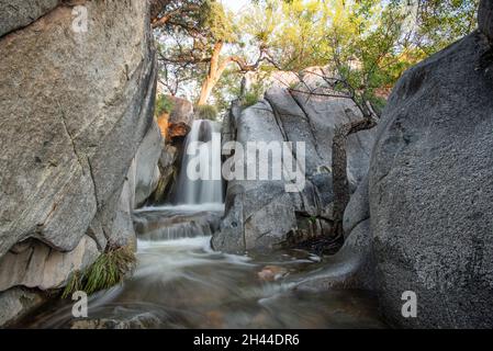 Wasserfall in einem Uferwald Stockfoto