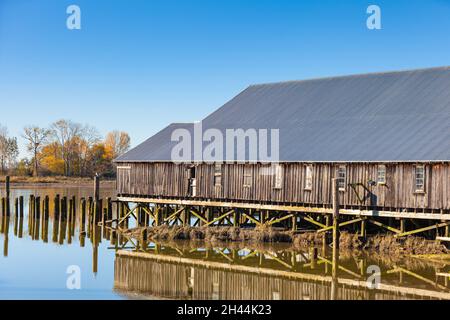 Spiegelung des Britannia-Schiffshofes in ruhigem Wasser bei Ebbe in Steveston British Columbia, Kanada Stockfoto