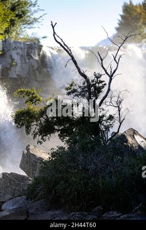 Lundbreck Falls, Crowsnest Pass. Alberta Kanada Stockfoto