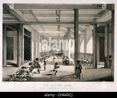 Ein geschäftiges Ballingzimmer in der Opiumfabrik in Patna, Indien. Lithographie nach W. S. Sherwill, c. 1850. Stockfoto