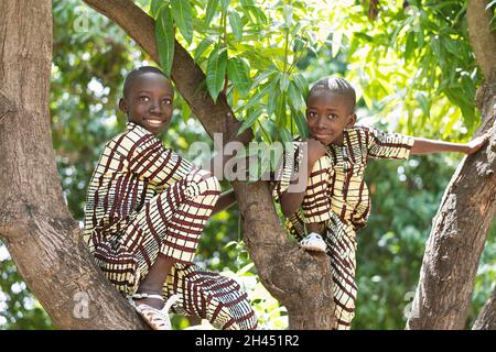 Zwei entzückende schwarze afrikanische Jungen im Doppelkleid sitzen auf einem Mangobaum und posieren für die Kamera Stockfoto