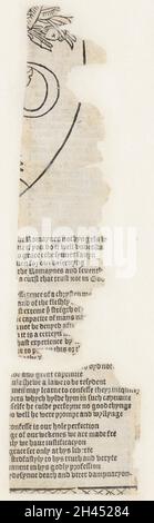 Anatomische flüchtige Blätter Stockfoto